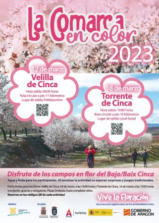 Imagen Vuelve la propuesta “La Comarca en color” para disfrutar de la floración...
