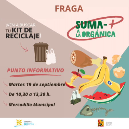 Image PI Fraga 19