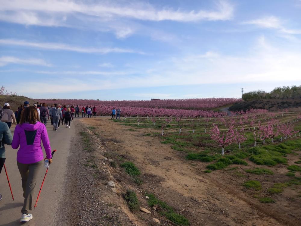 Imagen Más de 100 visitantes en las rutas de la floración organizadas por la Comarca del Bajo/Baix Cinca