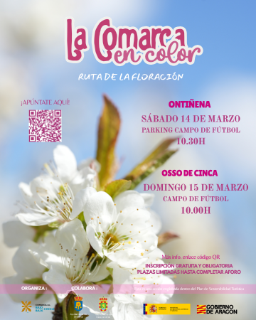 Imagen La Comarca en Color