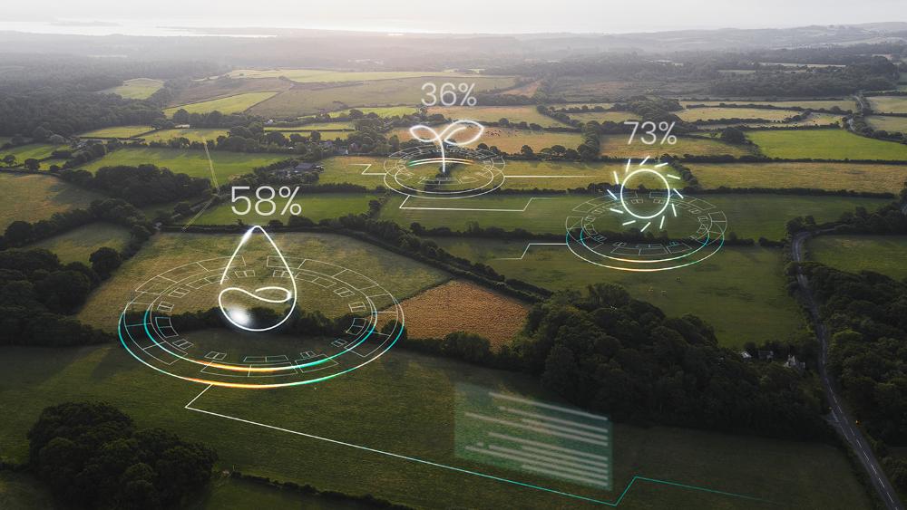 Imagen Transición Ecológica