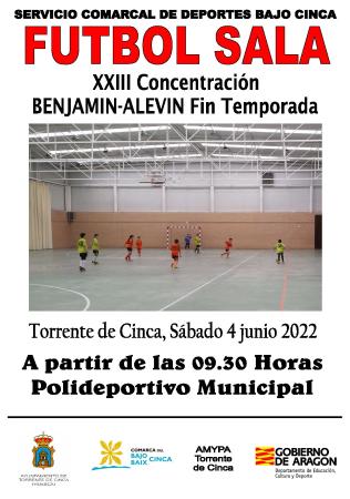 Imagen Finaliza la temporada de fútbol sala escolar organizada por la Comarca...