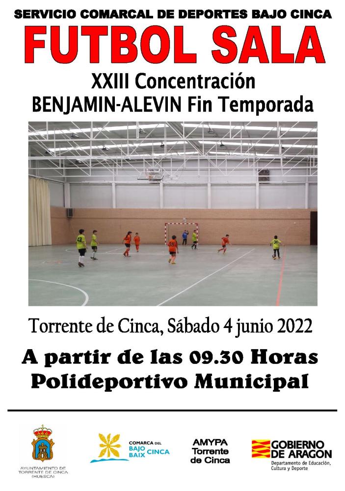 Imagen Finaliza la temporada de fútbol sala escolar organizada por la Comarca del Bajo/Baix Cinca